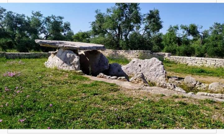 Amaste In Puglia Casa Vacanza Bisceglie Ngoại thất bức ảnh